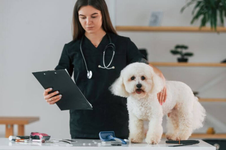 Онкологічний прийом собаки